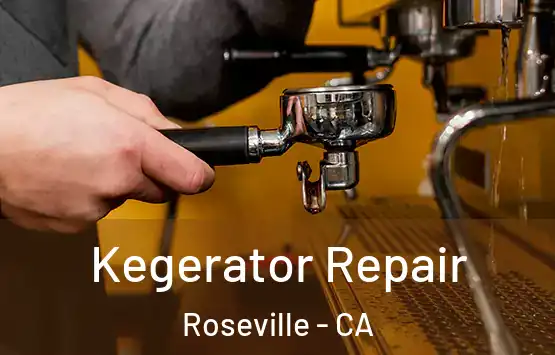  Kegerator Repair Roseville - CA
