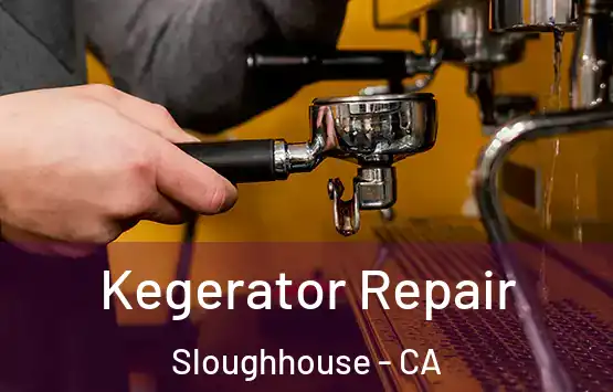 Kegerator Repair Sloughhouse - CA
