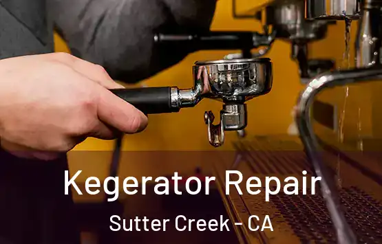  Kegerator Repair Sutter Creek - CA