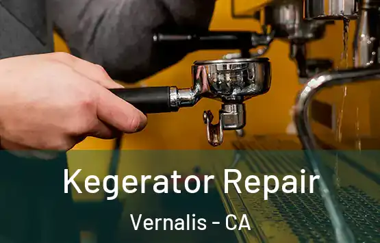  Kegerator Repair Vernalis - CA