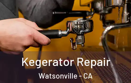  Kegerator Repair Watsonville - CA