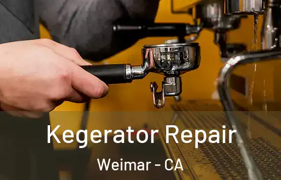  Kegerator Repair Weimar - CA