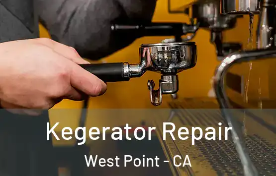  Kegerator Repair West Point - CA
