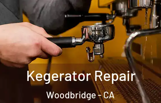  Kegerator Repair Woodbridge - CA