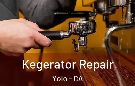  Kegerator Repair Yolo - CA