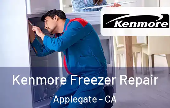  Kenmore Freezer Repair Applegate - CA