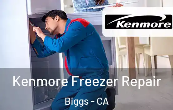  Kenmore Freezer Repair Biggs - CA