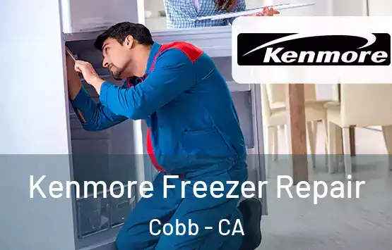  Kenmore Freezer Repair Cobb - CA