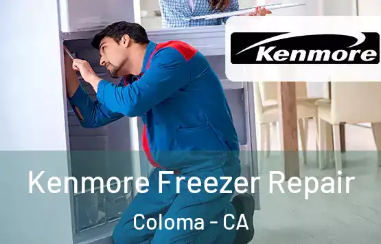  Kenmore Freezer Repair Coloma - CA