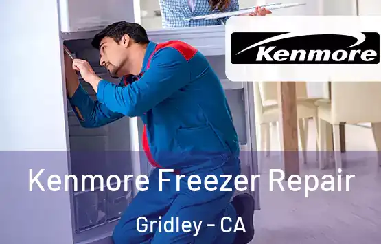  Kenmore Freezer Repair Gridley - CA