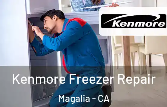  Kenmore Freezer Repair Magalia - CA
