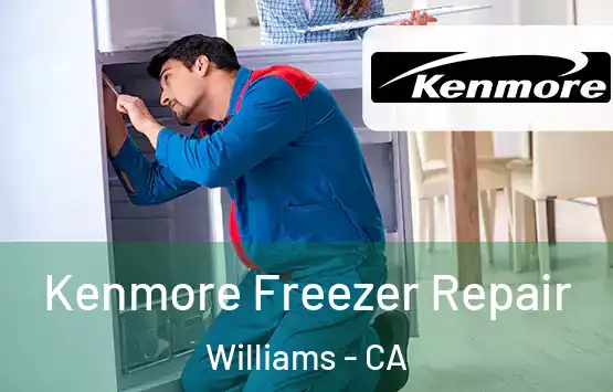  Kenmore Freezer Repair Williams - CA