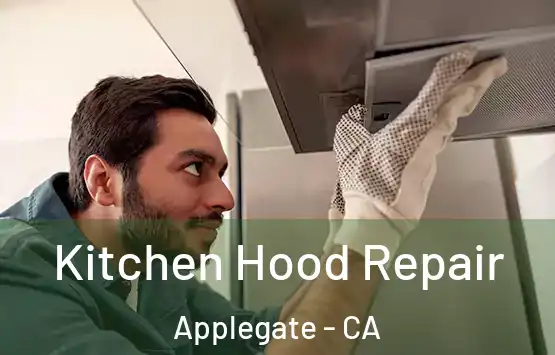  Kitchen Hood Repair Applegate - CA