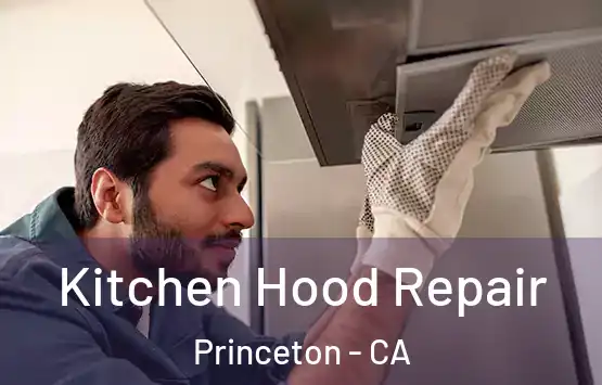  Kitchen Hood Repair Princeton - CA