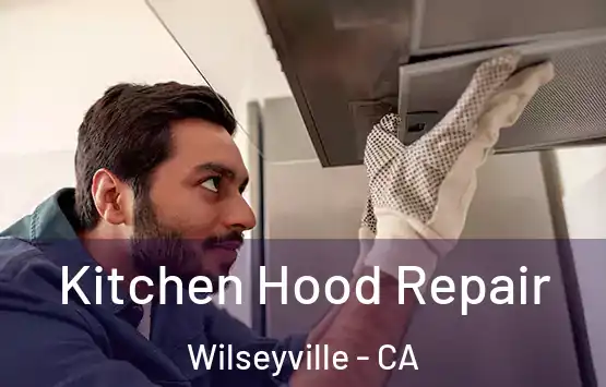  Kitchen Hood Repair Wilseyville - CA