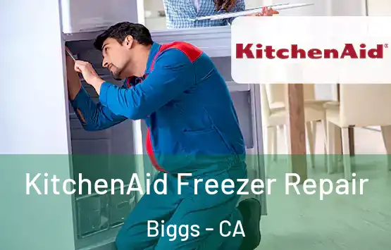  KitchenAid Freezer Repair Biggs - CA