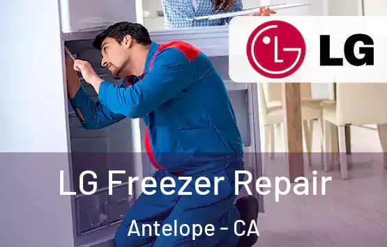  LG Freezer Repair Antelope - CA