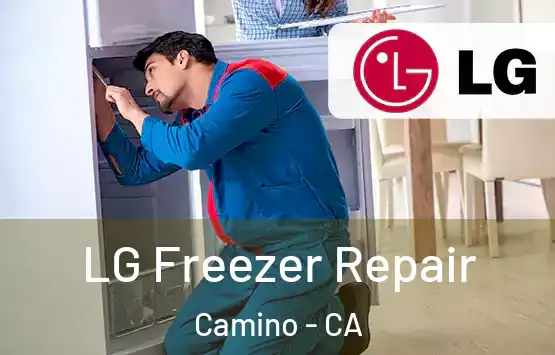  LG Freezer Repair Camino - CA