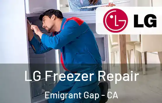  LG Freezer Repair Emigrant Gap - CA