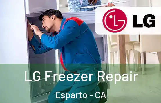 LG Freezer Repair Esparto - CA