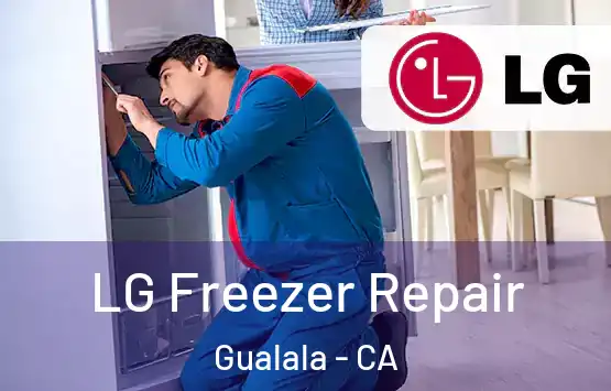  LG Freezer Repair Gualala - CA