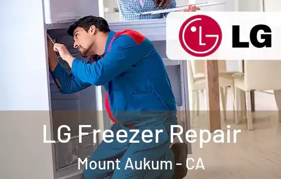  LG Freezer Repair Mount Aukum - CA