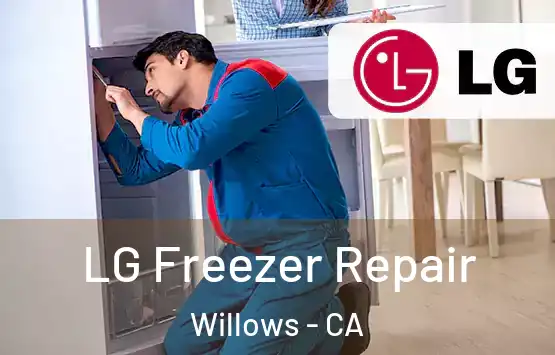  LG Freezer Repair Willows - CA