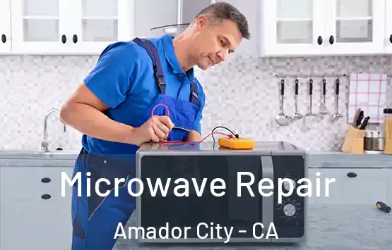  Microwave Repair Amador City - CA