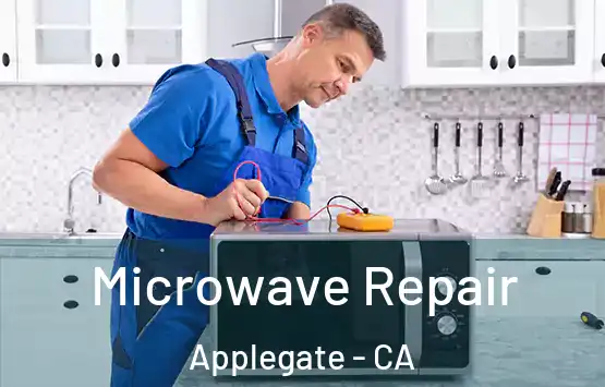  Microwave Repair Applegate - CA