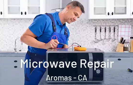  Microwave Repair Aromas - CA