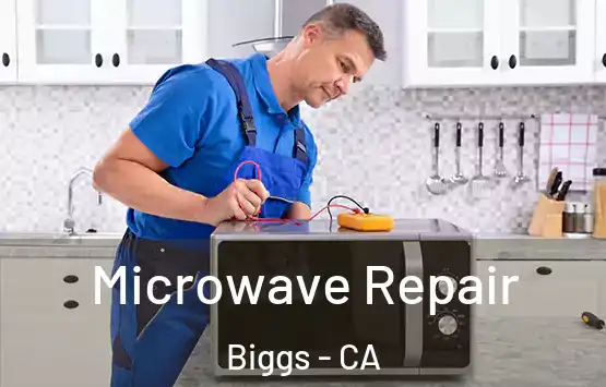  Microwave Repair Biggs - CA