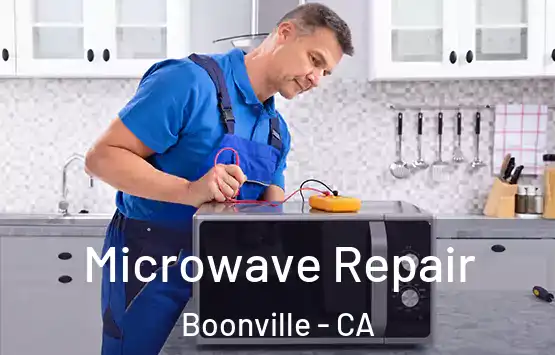  Microwave Repair Boonville - CA