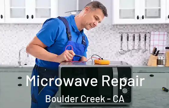  Microwave Repair Boulder Creek - CA