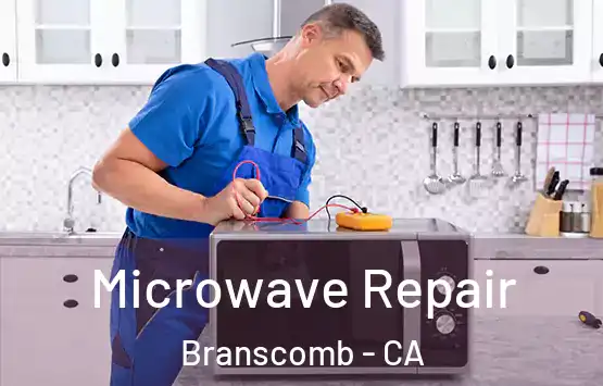  Microwave Repair Branscomb - CA