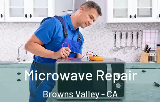 Microwave Repair Browns Valley - CA
