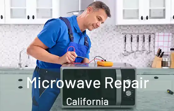  Microwave Repair California