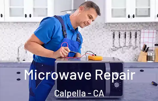  Microwave Repair Calpella - CA