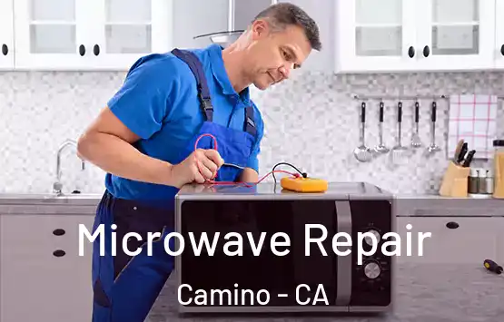  Microwave Repair Camino - CA