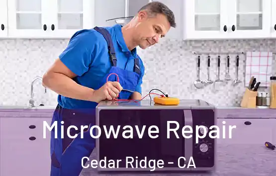  Microwave Repair Cedar Ridge - CA