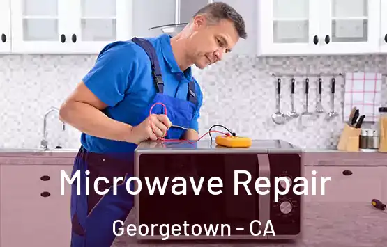  Microwave Repair Georgetown - CA