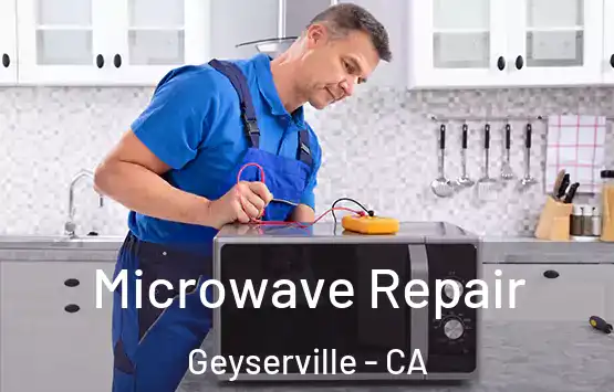  Microwave Repair Geyserville - CA