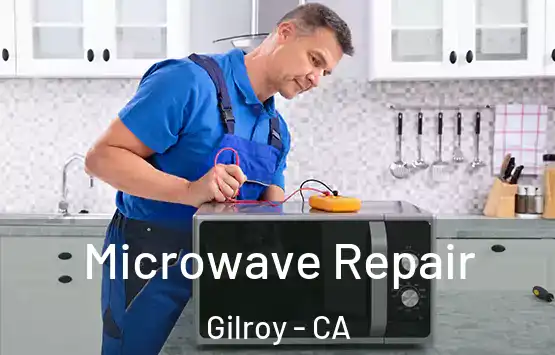  Microwave Repair Gilroy - CA