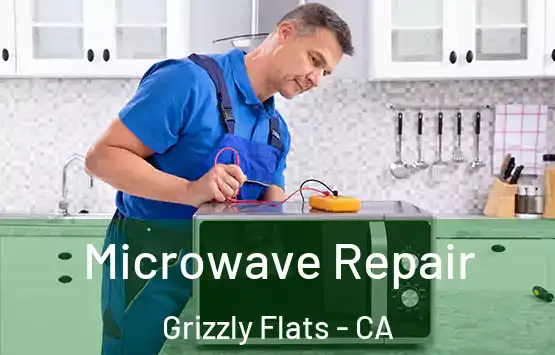  Microwave Repair Grizzly Flats - CA
