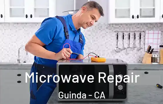  Microwave Repair Guinda - CA