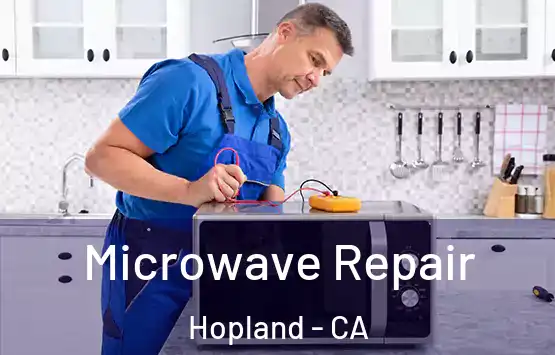  Microwave Repair Hopland - CA