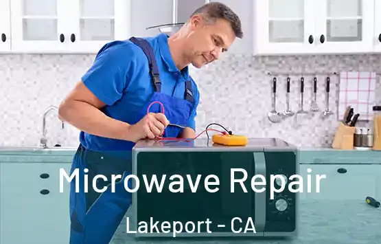  Microwave Repair Lakeport - CA