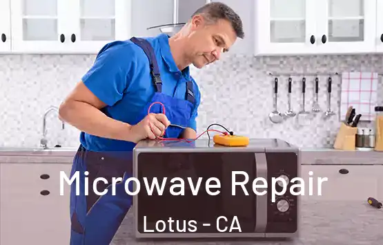  Microwave Repair Lotus - CA