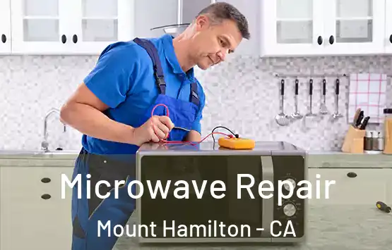  Microwave Repair Mount Hamilton - CA