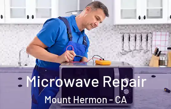  Microwave Repair Mount Hermon - CA