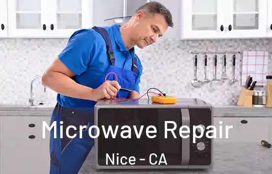  Microwave Repair Nice - CA